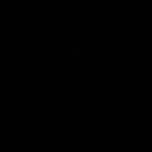 Meet your Posher, Josie